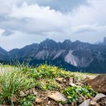 Blick vom Panoramaweg Plose auf die Peitlerkofelgruppe