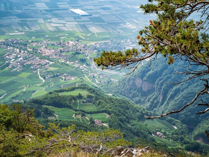 Blick von der Lungenfrisch auf Tramin