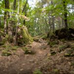 Römerweg von Söll nach Altenburg