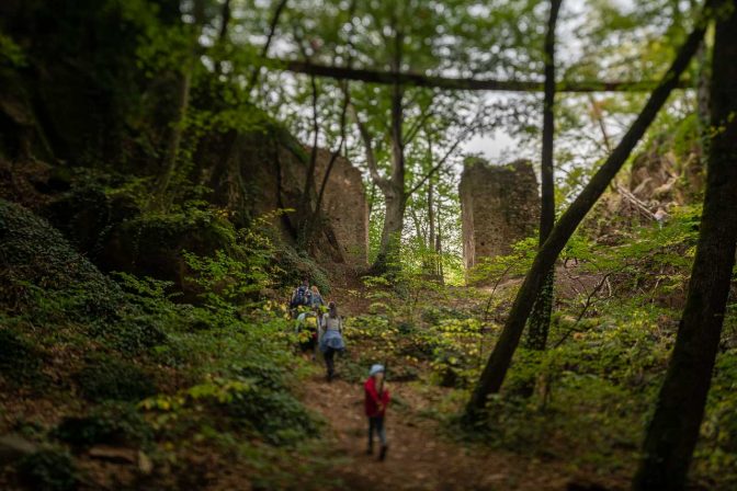 Der Steig führt uns unter der Altenburger Hängebrücke hindurch, hinunter in das Bachbett des Rastenbaches