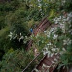 Treppen in der Rastenbachklamm