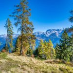 Brenta, Cima Tosa