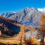 Cima Presanella, Herbst, Laghi di San Giuliano, Lago di Garzonè, Lärchen