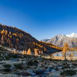 Cima Presanella, Herbst, Laghi di San Giuliano, Lago di Garzonè, Malga Garzonè