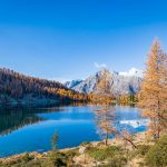 Cima Presanella, Herbst, Laghi di San Giuliano, Lago di Garzonè, Lärchen