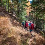 Andreas, Armin, Dietmar, Herbst, wandern