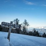 Auerleger Alm