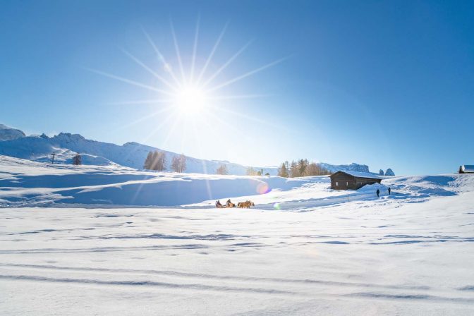 Kutsche, Pferdekutsche, Schlern, Schnee, Seiser Alm, Winter