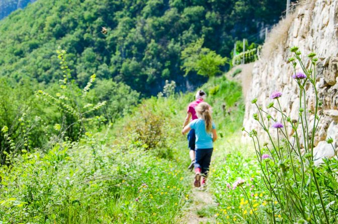 An der Grenze zwischen Kulturgrund und Wald auf dem Sitzkofelweg.