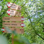 Graun, Kurtatsch, Sitzkofelweg, Wanderschild, Wegweiser