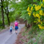 Frühling, Grauner Weg, spazieren, wandern