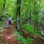 Fenner Bach, wandern, Wildbach