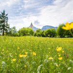 Blumenwiese, Fennberg, St. Leonhard Kirche, Unterfennberg