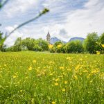 Blumenwiese, Fennberg, St. Leonhard Kirche, Unterfennberg