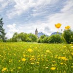 Blumenwiese, Fennberg, St. Leonhard Kirche, Unterfennberg