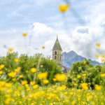 Blumenwiese, Fennberg, gelb, St. Leonhard Kirche, Unterfennberg