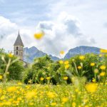 Blumenwiese, Fennberg, gelb, St. Leonhard Kirche, Unterfennberg