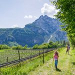 Hofstatt, Tiefenbrunner, Weinberg, Wiggerspitze