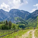 Hofstatt, Tiefenbrunner, Weinberg, Wiggerspitze