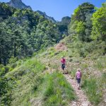 Schwarzer Kopf, Taurisweg, wandern