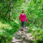 Klopfsteig, Steig, wandern