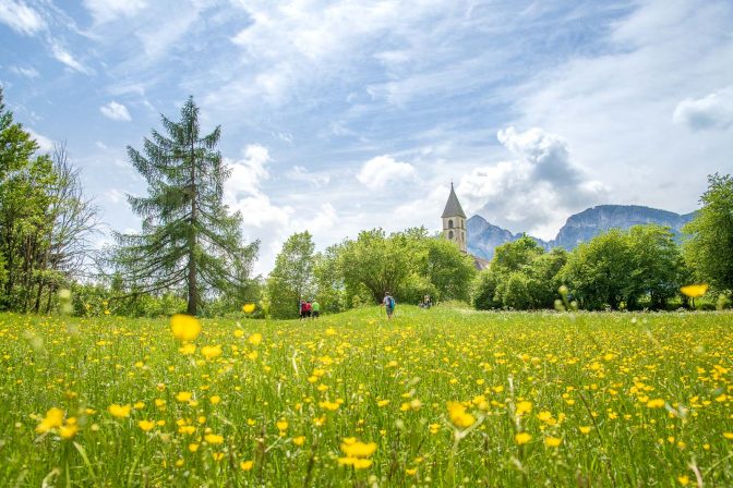 Blumenwiese, Fennberg, St. Leonhard Kirche, Unterfennberg, wandern