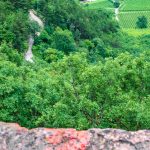 Aussicht, Kastelazweg, Stein mit Tiroler Fahne, Tramin