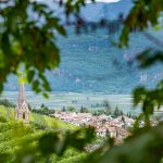 Kirchturm Tramin, Tramin, Weinberg