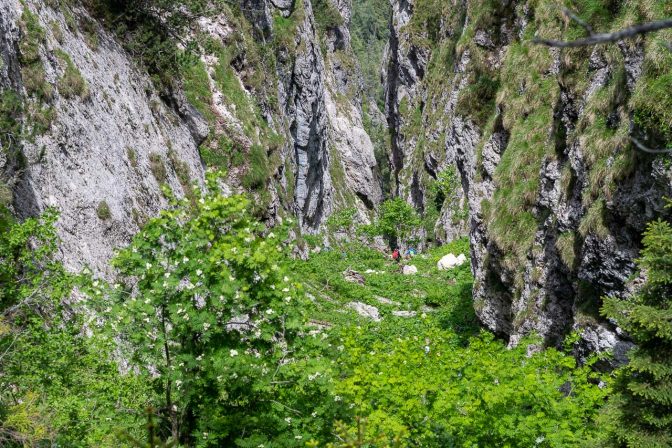 Blick hinunter in die Kematscharte