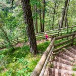 wandern, Wasserfallweg