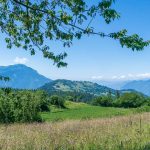 Gardaseeberge, Gemüsefelder, Monte Stivo