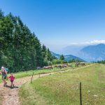 Gardasee, Kühe, Monte Stivo, wandern