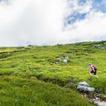 Anna, Monte Stivo, wandern