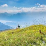 Feuerlilie, Gardasee, Monte Stivo, wandern