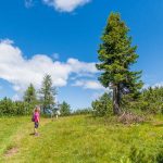 Schwarzer Kopf, wandern