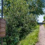 Gewürztraminer Weg, Gewürztraminer Weinweg, Themenweg, Weg