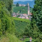 Gewürztraminer Weg, Gewürztraminer Weinweg, Themenweg, Tramin