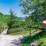 Gewürztraminer Weg, Gewürztraminer Weinweg, Themenweg, Tramin