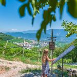 Ausblick, Gewürztraminer Weg, Gewürztraminer Weinweg, Themenweg, Tramin