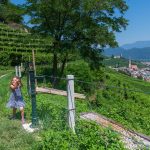 Gewürztraminer Weg, Gewürztraminer Weinweg, Themenweg, Wasserpumpe