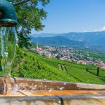 Gewürztraminer Weg, Gewürztraminer Weinweg, Themenweg, Wasserpumpe