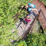 Rastenbachklamm, Treppe