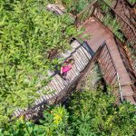 Rastenbachklamm, Treppe