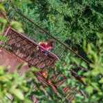 Rastenbachklamm, Treppe