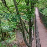 Altenburg, Hängebrücke, Rastenbachklamm