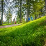 Salten, Themenweg, Tschöggelberg, wandern