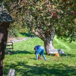 Bauer, Keschtnweg, Streuobstwiese