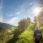 Eisacktal, Weinberg, Weinwanderweg