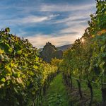 Herbst, Kloster Säben, Sonnenuntergang