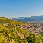 Herbst, Teich, Tilt Shift, Tramin, Weinberge